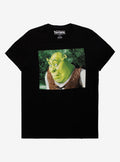 Shrek Bored Meme T-Shirt T-Shirt | Aesthetic Graphic | Great Gift Idea