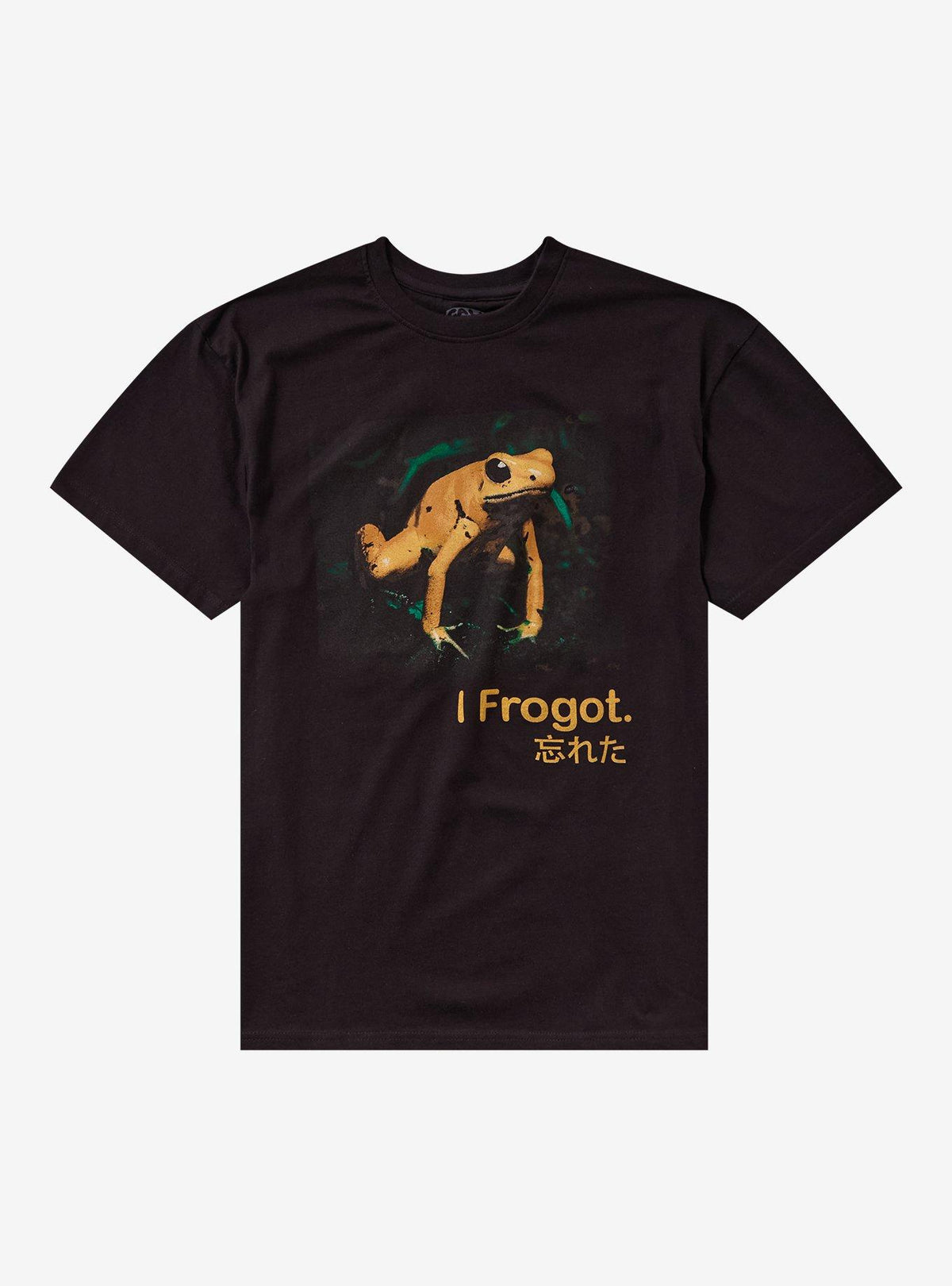 I Frogot Frog T-Shirt By Call Your Mother T-Shirt | Top Trending Artwork | High Demand Item