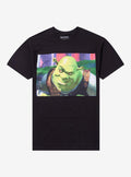 Shrek Smirk Panel T-Shirt | Premium Unisex T-Shirt, Trending Graphic Tee