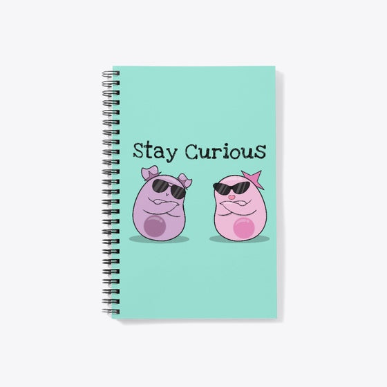 Stay Curious in Style