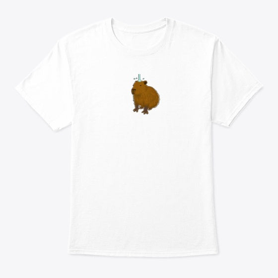 Capybara Country
