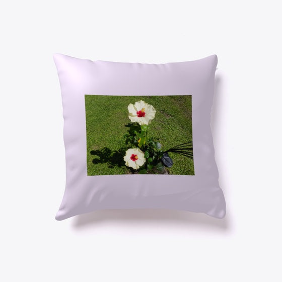 White Hibiscus
