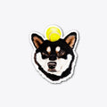 Shiba Max | Premium Unisex T-Shirt, Trending Graphic Tee