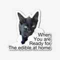 Funny kitty | Premium Unisex T-Shirt, Trending Graphic Tee