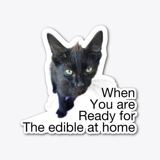 Funny kitty | Premium Unisex T-Shirt, Trending Graphic Tee