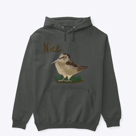 Nice Woodcock