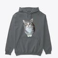 Just Winky Sweater | Premium Unisex T-Shirt, Trending Graphic Tee